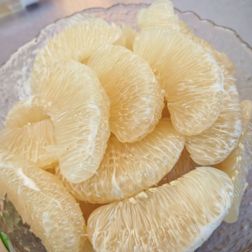 湖南安江冰糖柚
