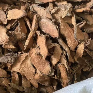 簕慈姑干货