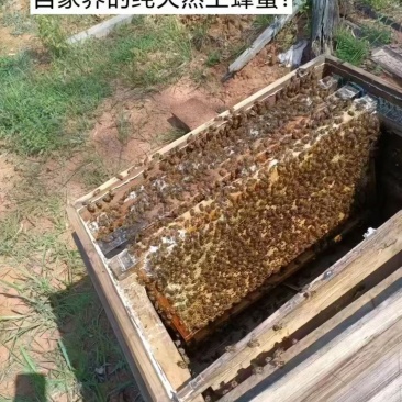 纯蜂蜜