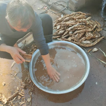 江西野生葛根粉
