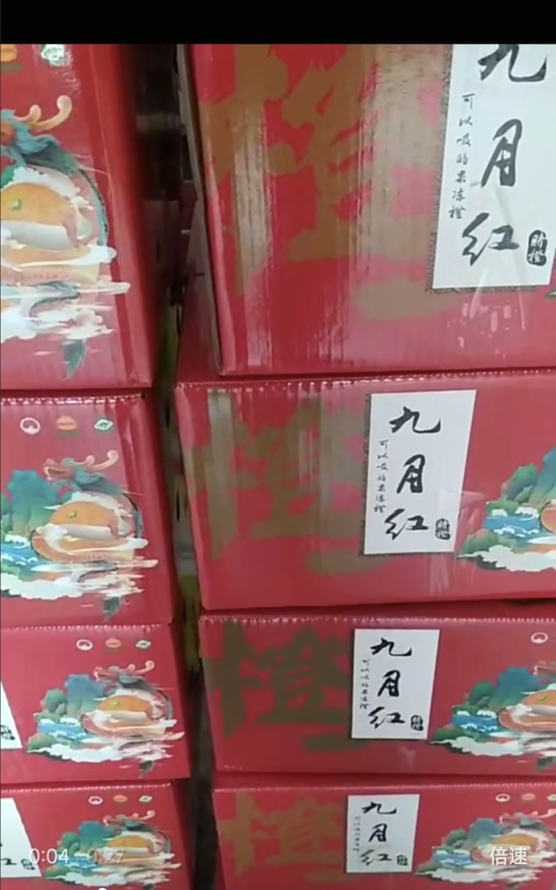 秭归脐橙九月红