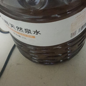 正宗山茶油