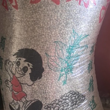 内䝉古达拉特旗特大麻子，（5.5筛精选）。