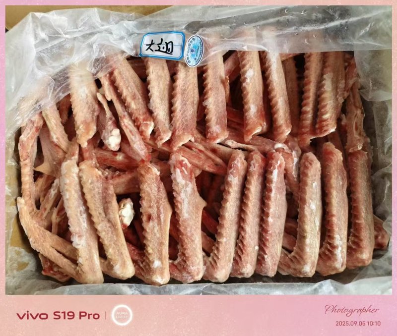 一级大鹅翅河南厂家直销质量保证