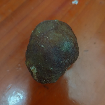 风干带血丝鸡宝