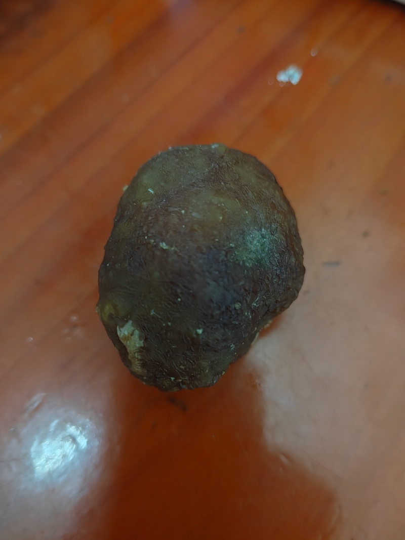 风干带血丝鸡宝