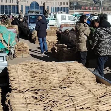 甘肃省定西市岷县当参当归