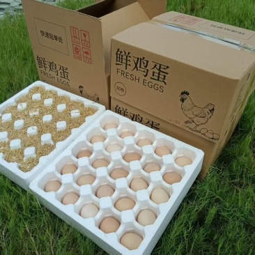 鲜鸡蛋一件代发