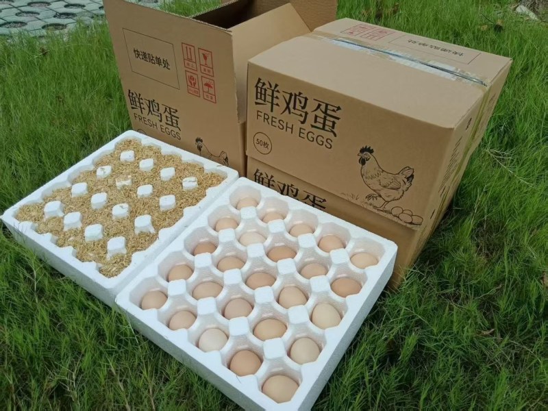 鲜鸡蛋一件代发