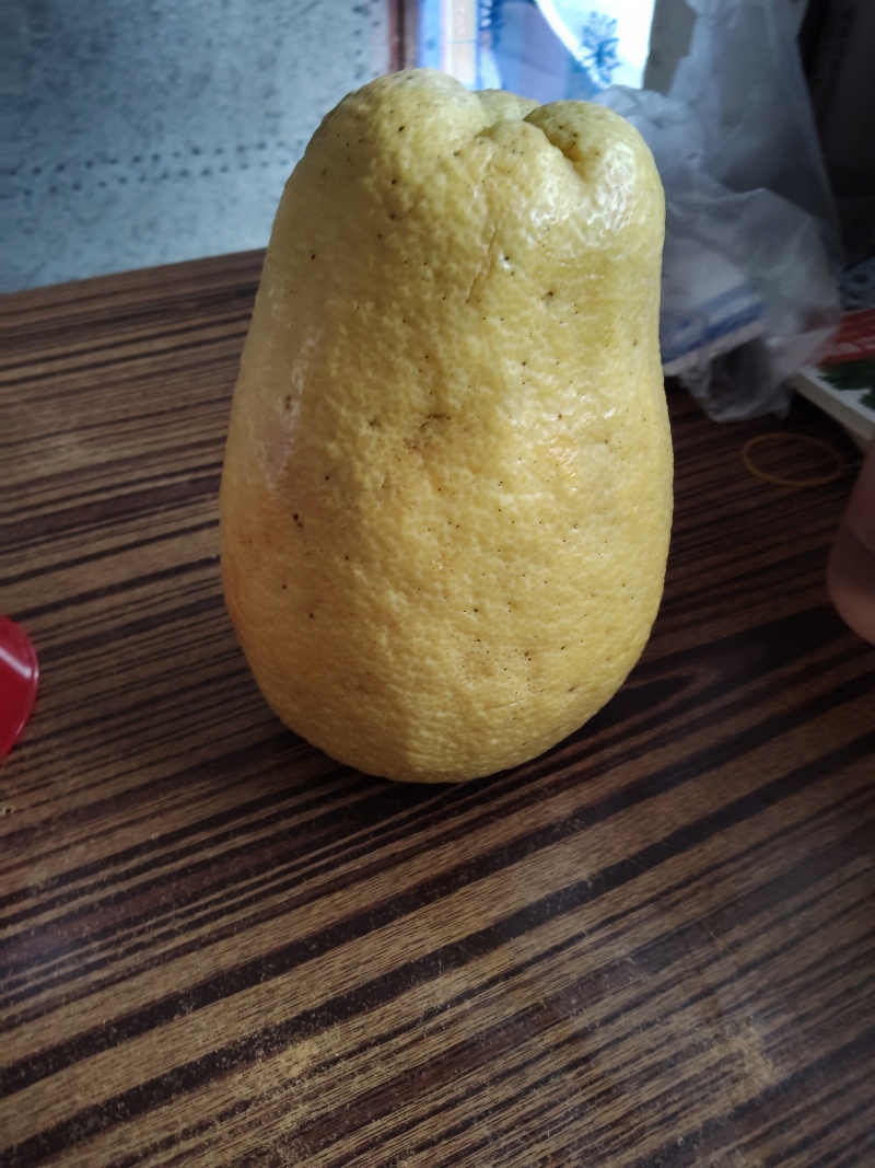 重庆柚子