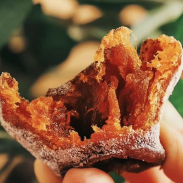 山西老树柿饼吊饼
