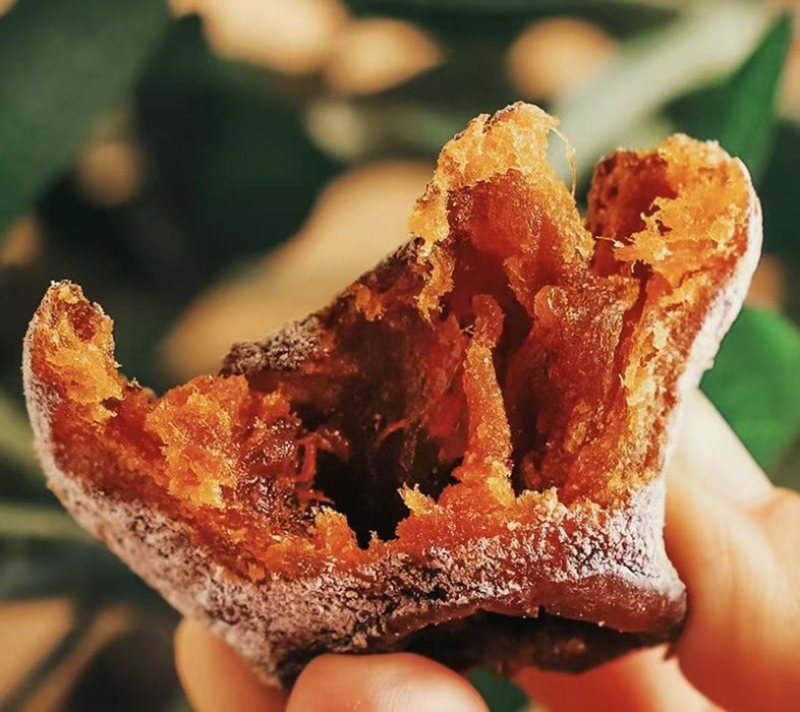 山西老树柿饼吊饼