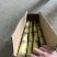 云南黄皮甘蔗，滇南沃土孕育的金色蜜饯。金黄表皮薄如蝉翼。