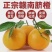 赣南脐橙