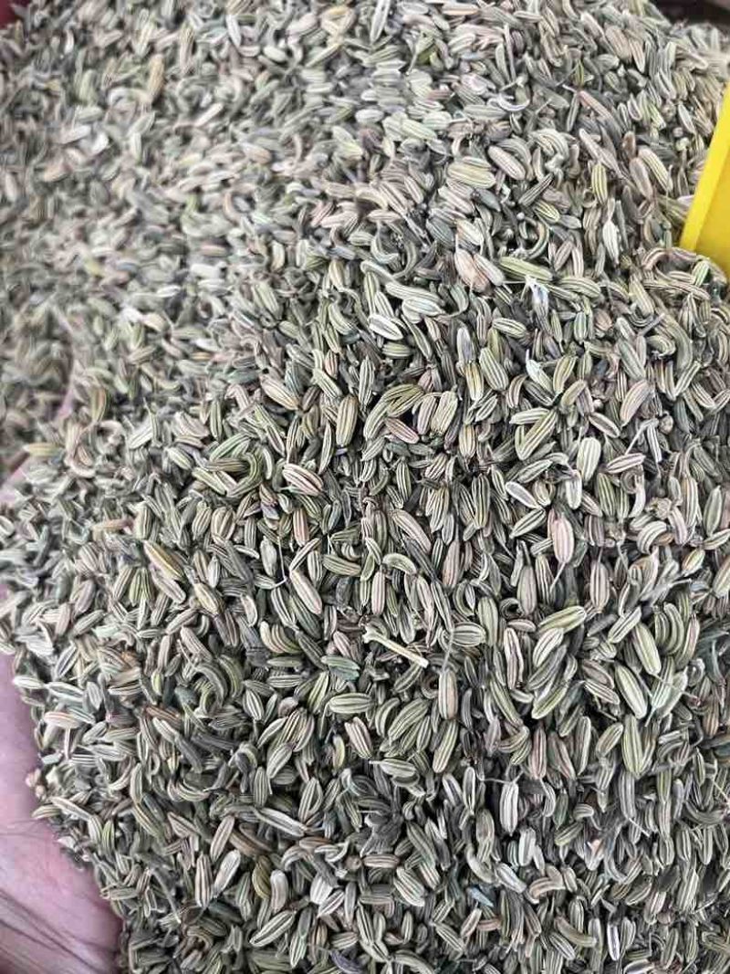 新货国产小茴香50斤一件颜色好颗粒饱满长期批发量大价优