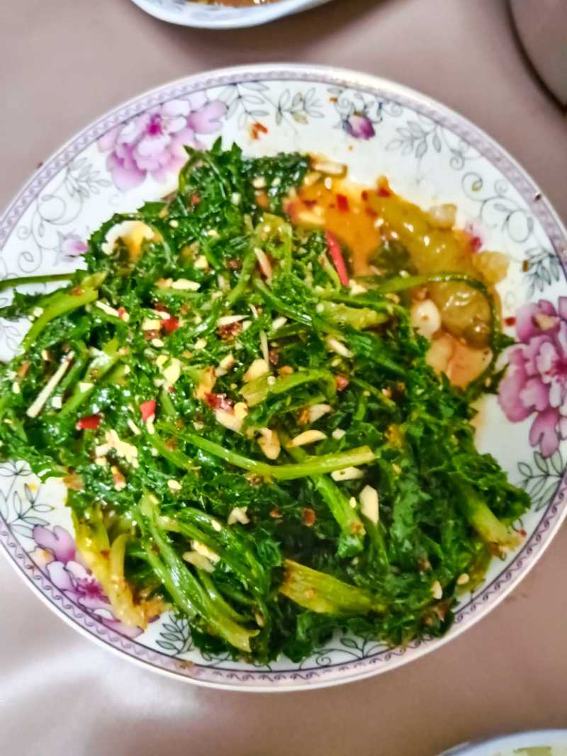 苦麻菜(蔬菜)