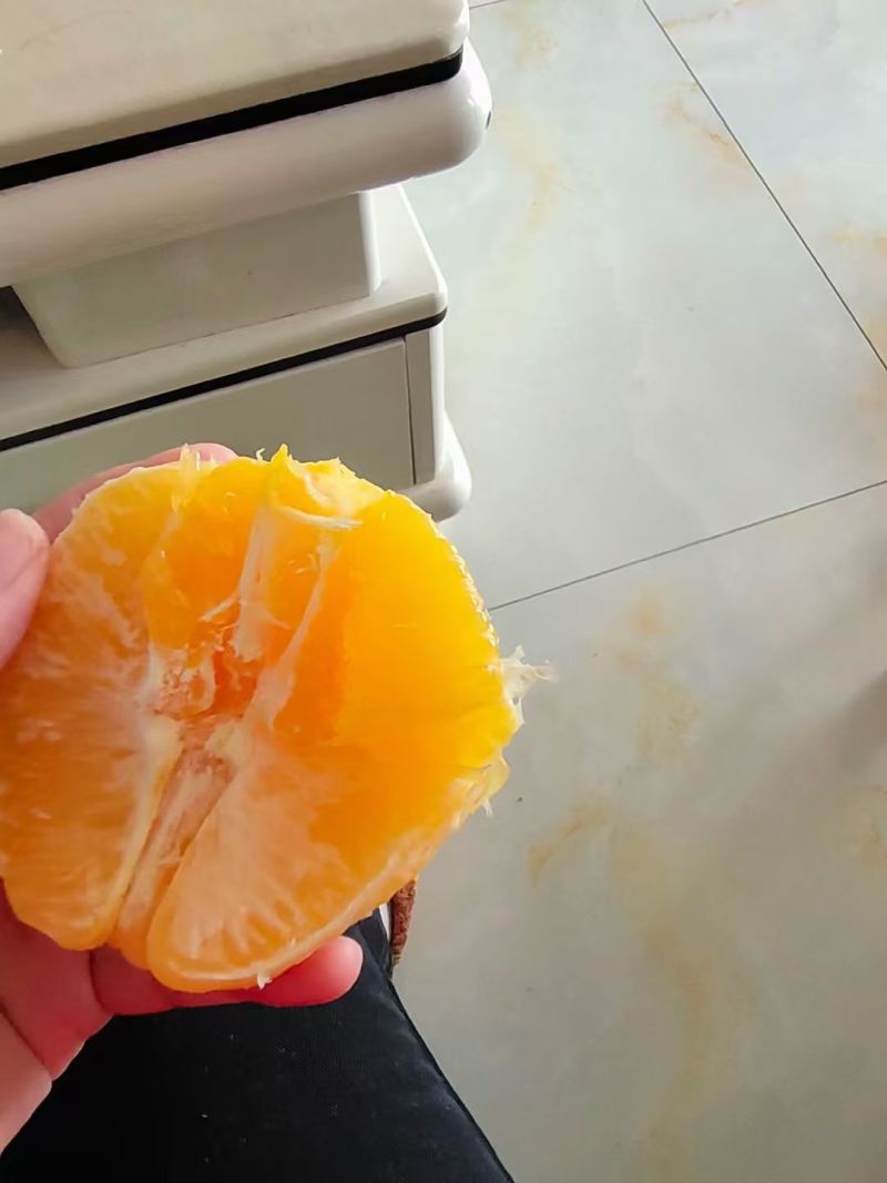 王家庄赣南脐橙