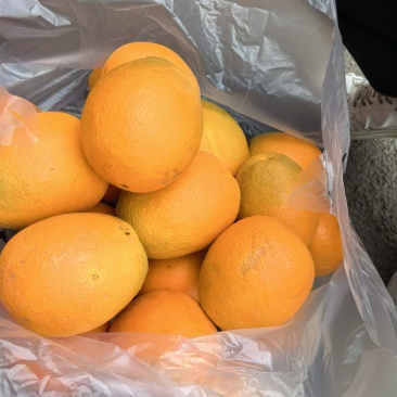 湖北宜昌枝江纽荷尔