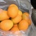 湖北宜昌枝江纽荷尔
