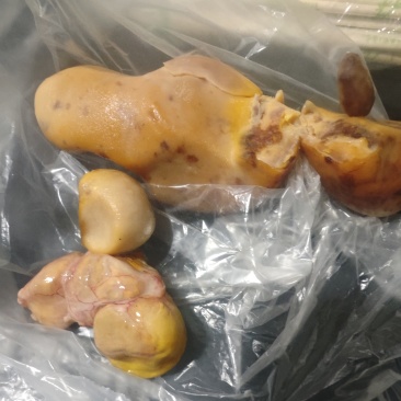 自家老母鸡杀出来的鸡宝