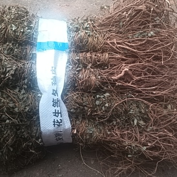 鸡骨草