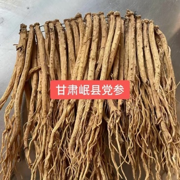甘肃省定西市岷县党生