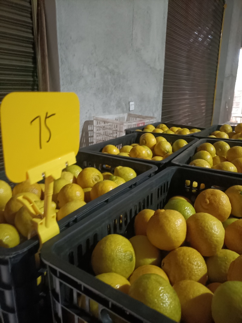 湖南洪江黄金贡柚