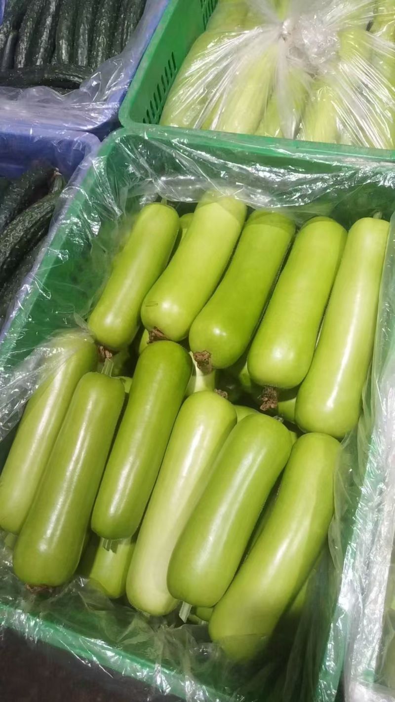 弧瓜