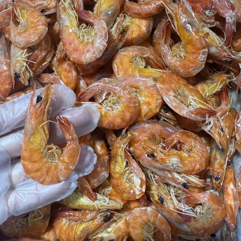 东北渤海烤虾干6-10厘米规格精品可选