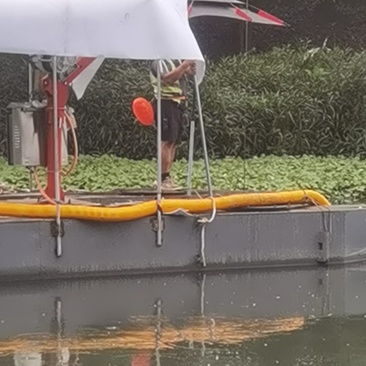破铜钱草