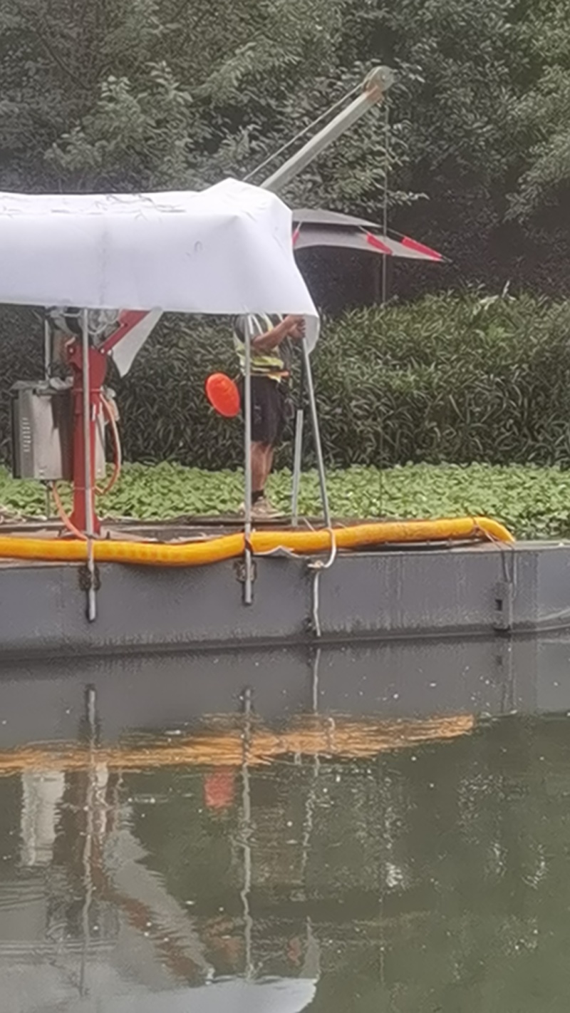 破铜钱草