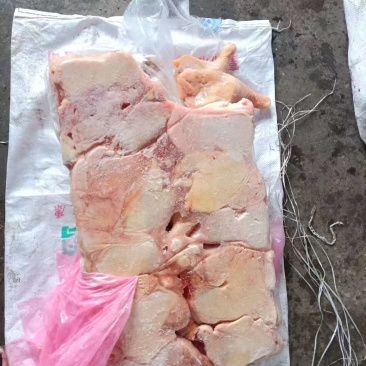 存货二级肉鸡排腿六吨