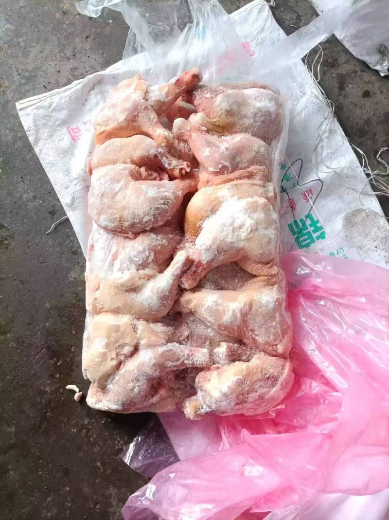 存货二级肉鸡排腿六吨