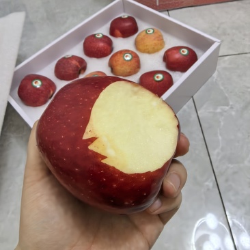 陕西白水苹果