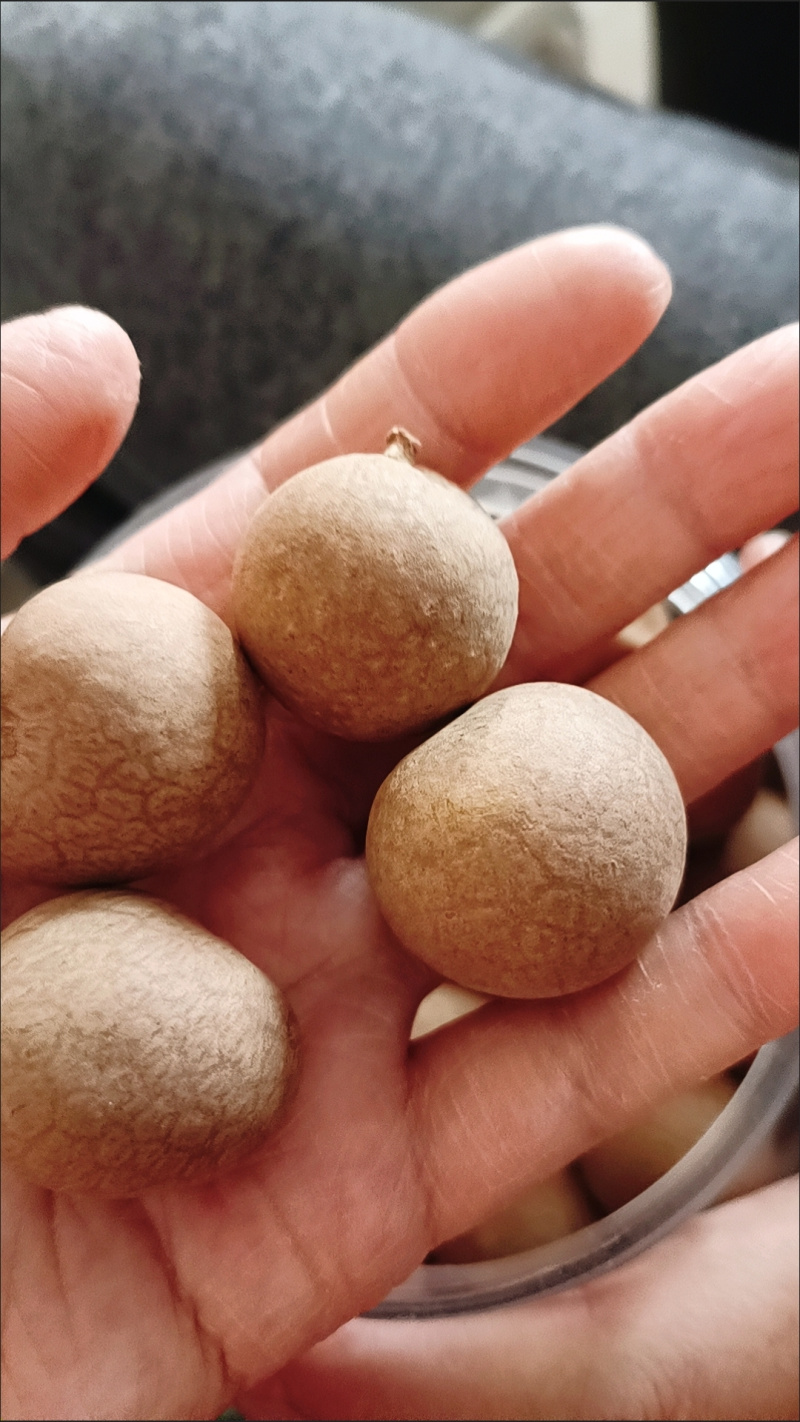 福建仙游古法烘干龙眼干