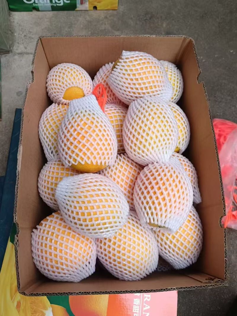 赣州脐橙