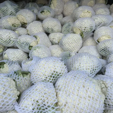松花，量大