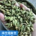 绿豆蔻各规格批发新货颜色绿颗粒饱满长期批发大量供应进口西餐调