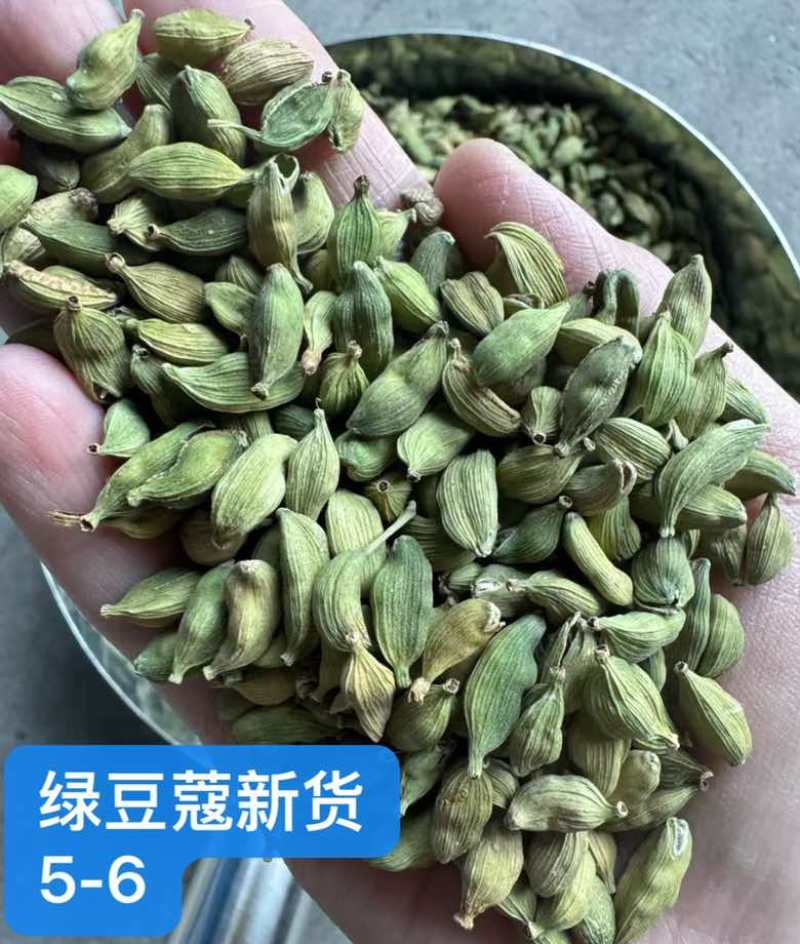 绿豆蔻各规格批发新货颜色绿颗粒饱满长期批发大量供应进口西餐调