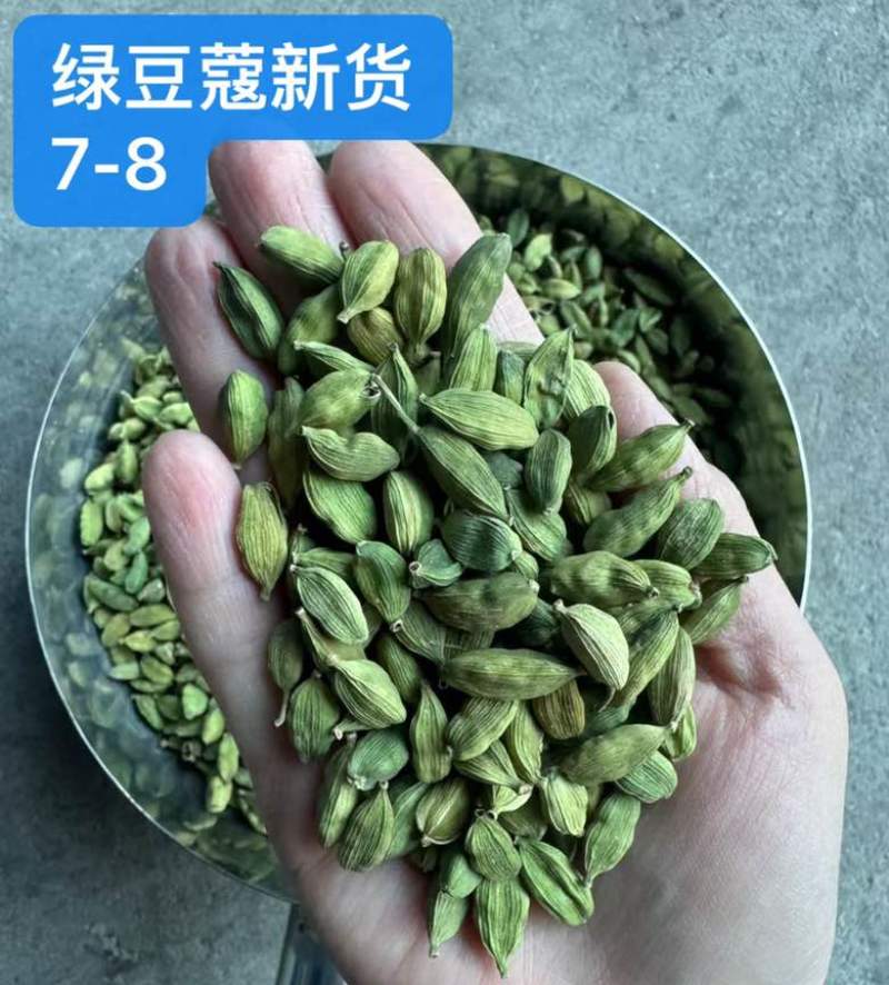 绿豆蔻各规格批发新货颜色绿颗粒饱满长期批发大量供应进口西餐调