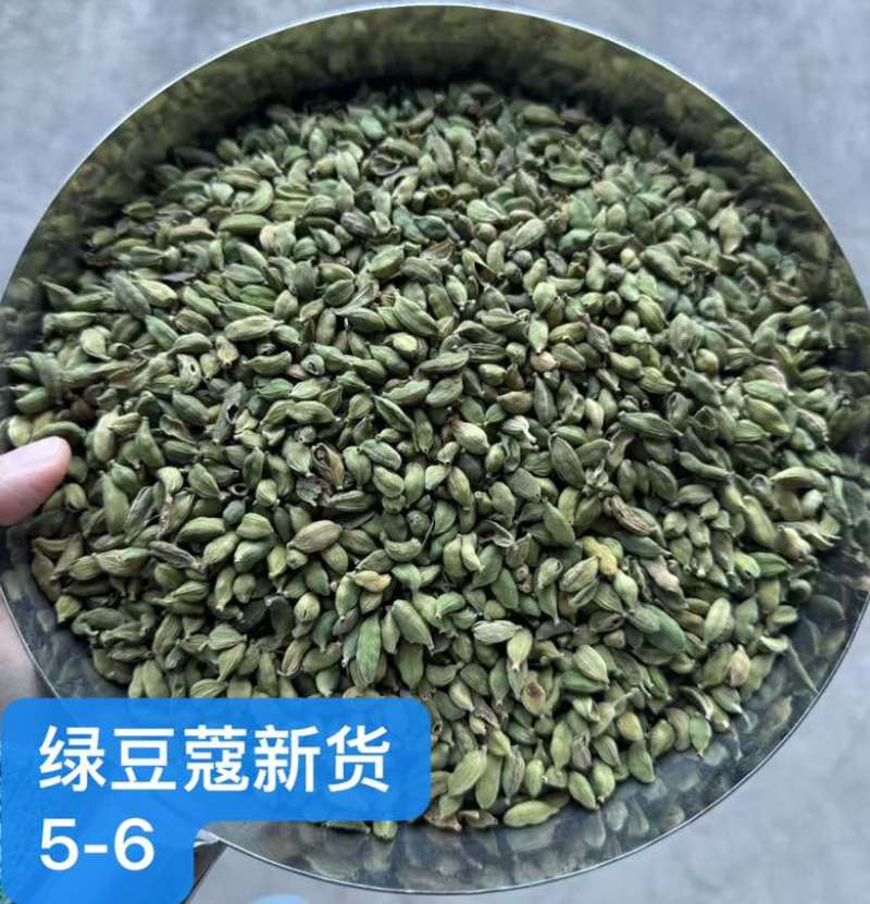 绿豆蔻各规格批发新货颜色绿颗粒饱满长期批发大量供应进口西餐调