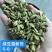绿豆蔻各规格批发新货颜色绿颗粒饱满长期批发大量供应进口西餐调