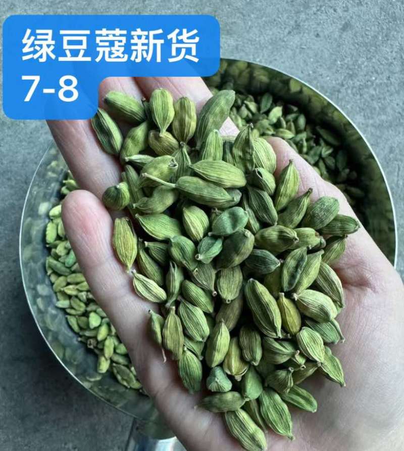 绿豆蔻各规格批发新货颜色绿颗粒饱满长期批发大量供应进口西餐调