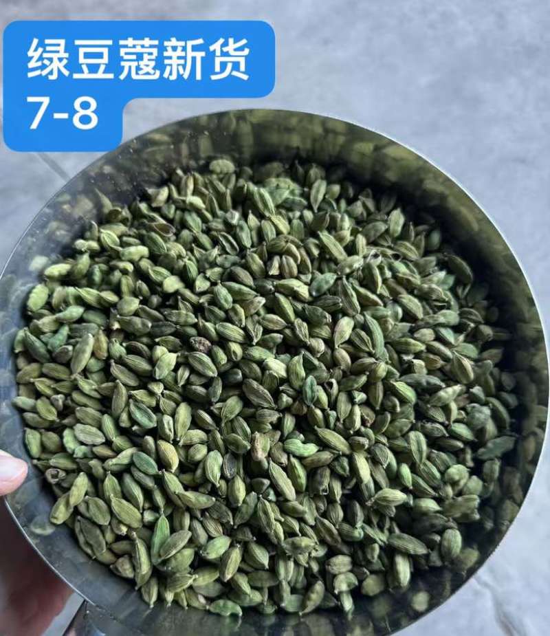 绿豆蔻各规格批发新货颜色绿颗粒饱满长期批发大量供应进口西餐调