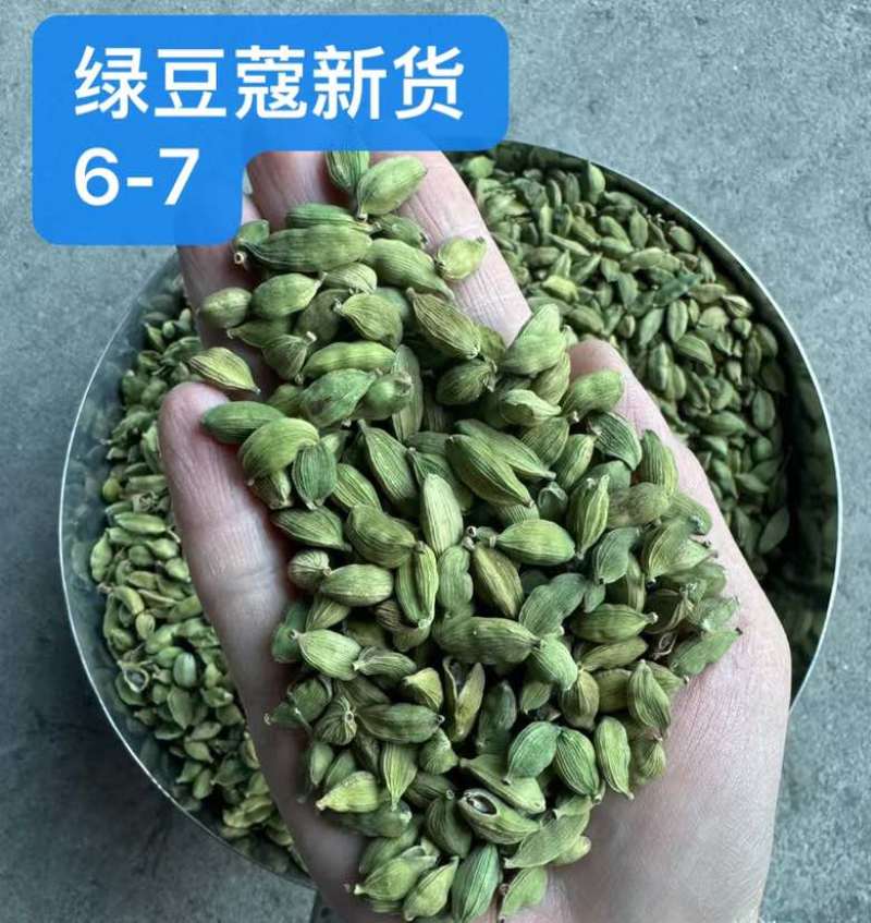 绿豆蔻各规格批发新货颜色绿颗粒饱满长期批发大量供应进口西餐调