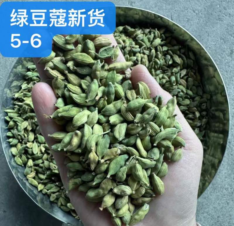 绿豆蔻各规格批发新货颜色绿颗粒饱满长期批发大量供应进口西餐调