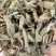鼠尾草干货西餐调味料批发进口鼠尾草各规格一斤起批发量大价优