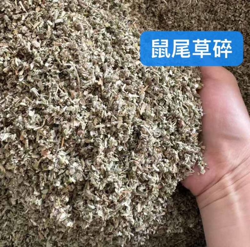 鼠尾草干货西餐调味料批发进口鼠尾草各规格一斤起批发量大价优