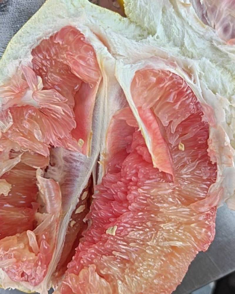 柚子