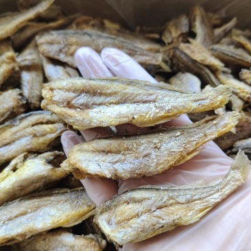 【香酥小黄鱼】酥脆黄鱼酥，资质齐全，一件，寻电商合作